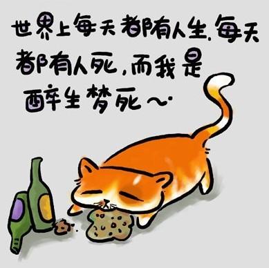 你把别人想的太复杂_很可爱的猫咪图文动漫