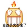 微信小黄脸emoji带字表情包 我真是火都来了