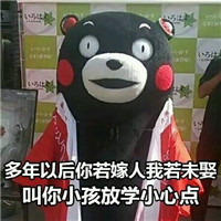 熊本熊经典表情包大合辑 有生之年遇见你花光了我所有积蓄