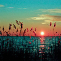 《夕阳》是微信头像的美丽风景图片集