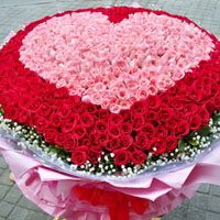 玫瑰花图片大全999朵情人节专属 你收到过玫瑰花吗