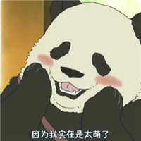 熊猫卖萌可爱表情图片大全集 我可爱的要报警了