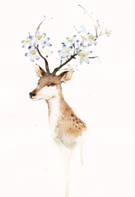 在树的深处可以看到手工绘制的麋鹿美学卡通画鹿皮