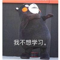 熊本熊本的表情袋里有很多有趣的词。我只是不学习