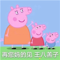 粉红小猪，佩奇，表情包，有趣可爱，小猪，小猪。
