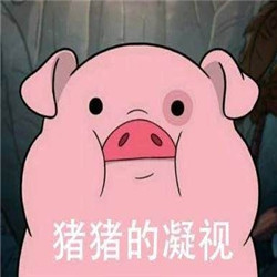 粉色小猪猪的凝视表情包 见过那么多猪还是你最可爱