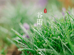 2022谷雨节气祝福语说说 谷雨快乐朋友圈说说