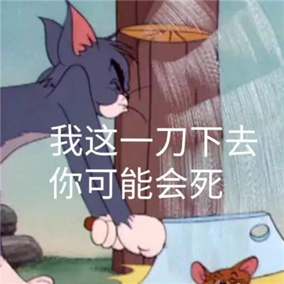 最新一组猫和老鼠的暴走可爱的表情包 明明失望透顶还继续喜欢你