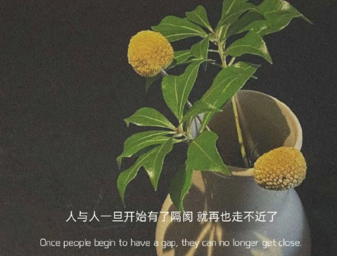 读起来想哭的伤感句子 很压抑的崩溃句子