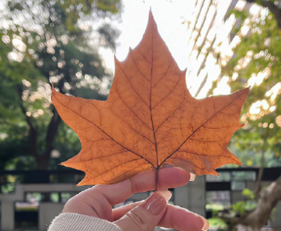 分手后让对方注意到自己的文案 吸引前任注意的文案