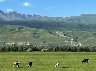 第一次去大草原的心情说说 去大草原心情愉悦的文案