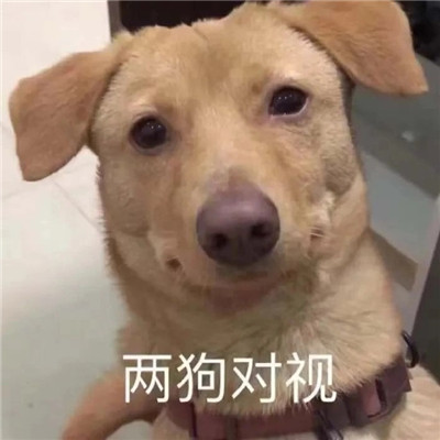 微信状态图搞笑图片