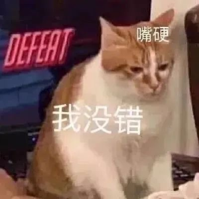 呆萌猫咪微信表情很火热 一定要存上的软萌猫咪表情