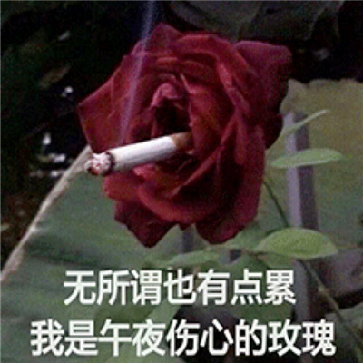 可爱又有意思的表情 调皮且热门的表情