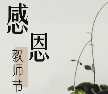 教师节让老师感到的句子 教师节写给老师的句子感动哭