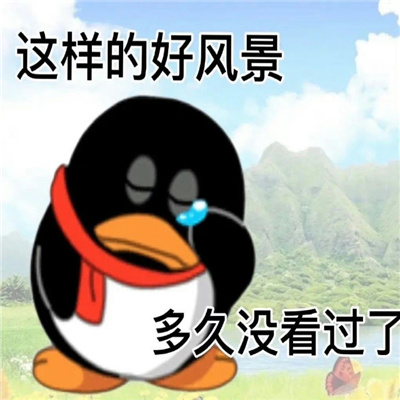 QQ企鹅发疯表情包 只要心态好学校也是巴厘岛