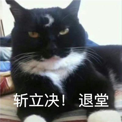 清汤大法官在线断案猫咪表情 你好小猫派出所