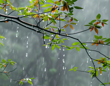 关于下雨天治愈可爱的文案 下雨天意境很美的简短文案